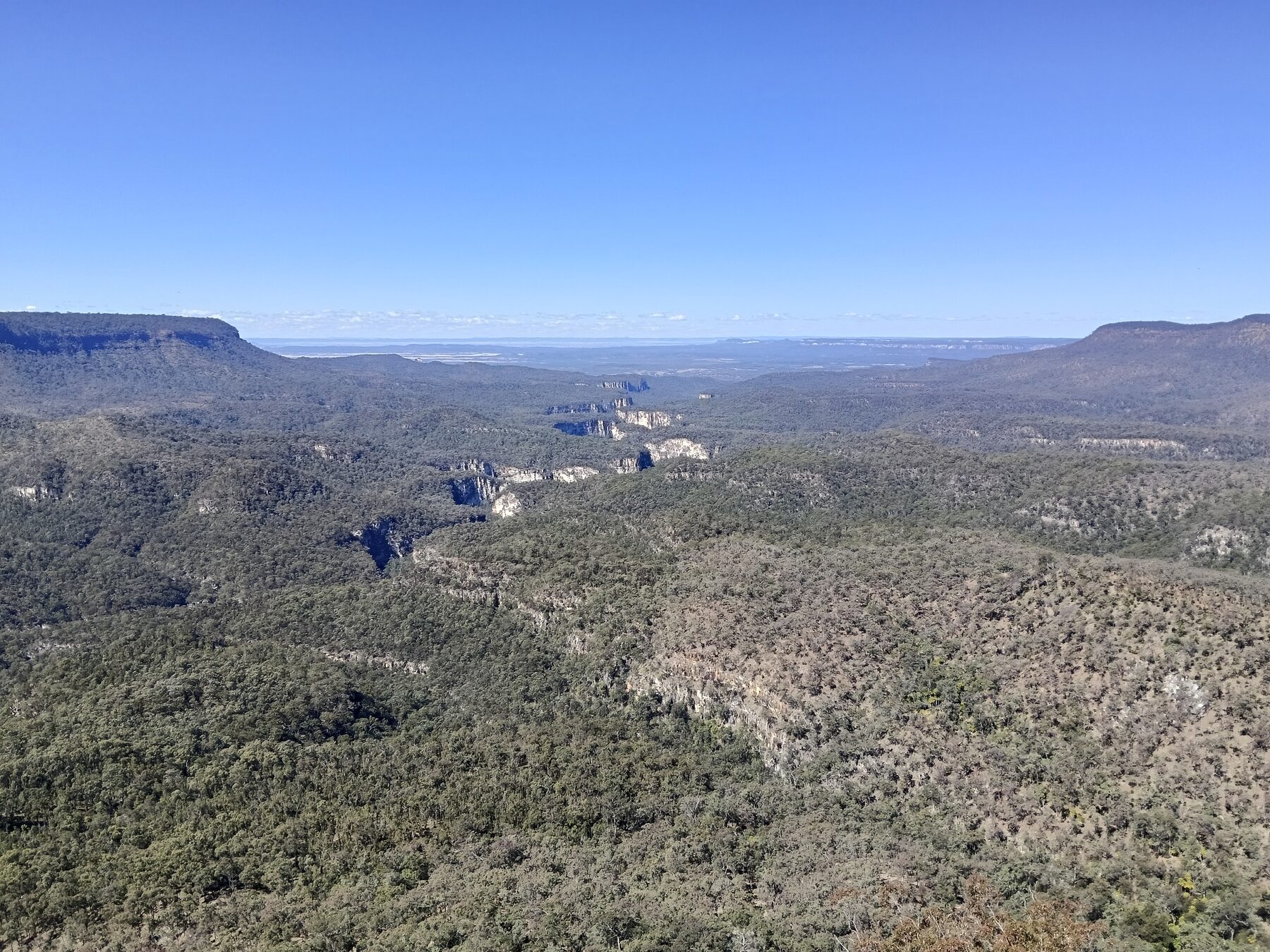 Carnarvon Gorge