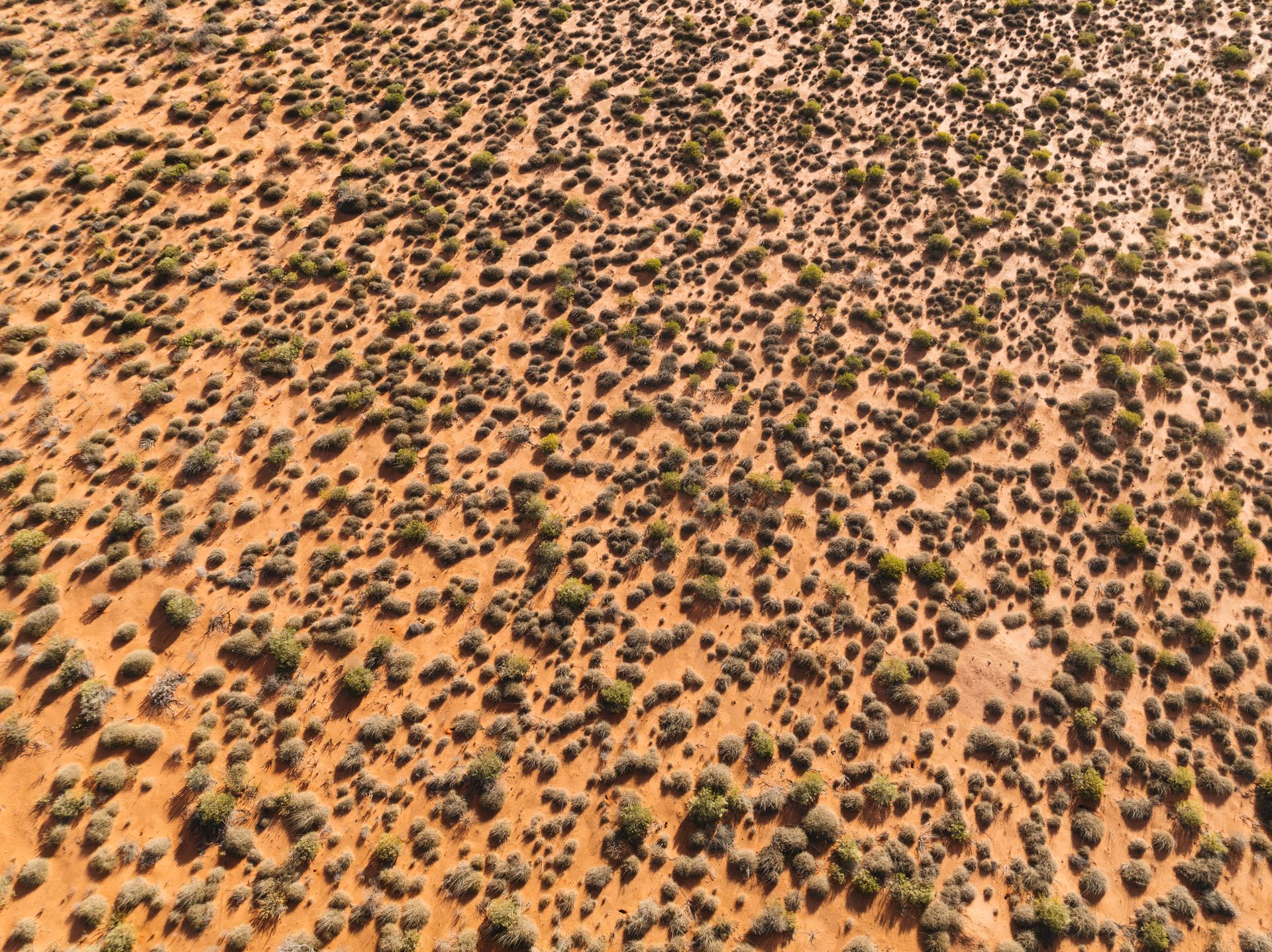 Australian desert