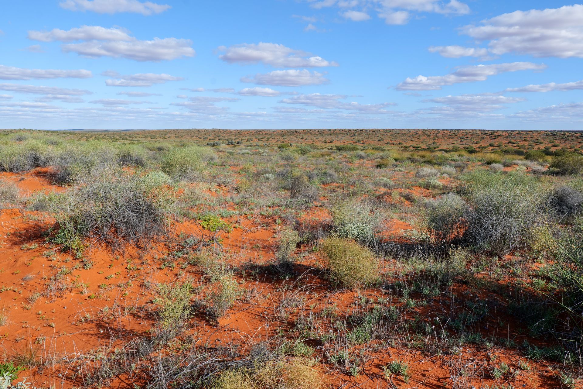 The Australian outback